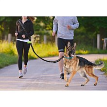 新款防爆衝狗繩 狗狗寵物牽引繩 素色反光 背心式喵咪胸揹帶 歷史價格詳細信息