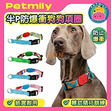 P鏈項圈寵物P鏈編制項圈狗頸圈脖圈德牧金毛小型犬P鏈寵物項圈-特價~特價 歷史價格詳細信息