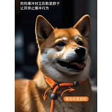 P鏈項圈寵物P鏈編制項圈狗頸圈脖圈德牧金毛小型犬P鏈寵物項圈-特價~特價 歷史價格詳細信息