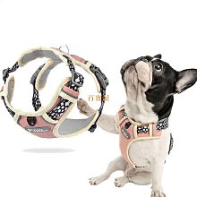 牽引繩 狗狗背心式牽引繩 外出小型犬牽引帶 可愛遛狗繩 遛喵繩 防掙脫寵物牽引帶  寵物胸背帶 寵物外出用品 歷史價格詳細信息