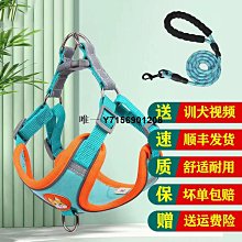 狗狗牽引繩寵物比熊泰迪小型犬胸背帶貓咪繩子防掙脫遛狗繩子狗鏈 歷史價格詳細信息