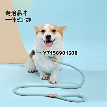 狗狗牽引繩P繩遛狗繩子一體式防掙脫中大型犬防爆沖P鏈牽狗繩狗鏈 歷史價格詳細信息