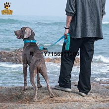 狗狗貓咪牽引繩狗繩狗鏈子繩子遛貓遛狗小型犬泰迪背心式胸背F 歷史價格詳細信息