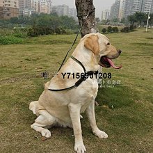 狗繩狗鏈牽引繩2米可調節夜晚反光牢固防脫遛狗繩柔軟舒適不勒手 歷史價格詳細信息