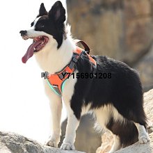 遛狗繩狗狗牽引繩背心式胸背帶遛狗小型中型犬泰迪柴犬狗繩狗鏈寵物用品 免運 歷史價格詳細信息
