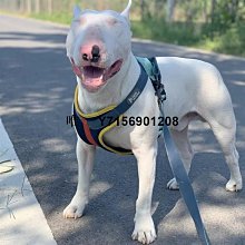 背心式狗狗牽引繩  寵物胸背帶  小型犬 中型犬 喵咪 透氣胸背帶  狗狗牽繩 寵物牽引帶 寵物用品  寵物 狗狗 歷史價格詳細信息