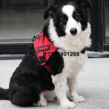 遛狗繩寵物用品狗狗胸背帶牽引繩小型犬泰迪比熊博美外出遛狗繩子狗鏈子 免運 歷史價格詳細信息