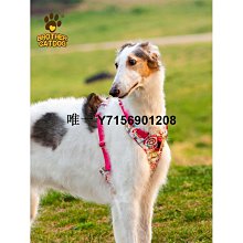 遛狗繩狗胸背印花可調節貓咪牽引繩發財麻將小型犬背心式寵物外出遛狗繩 免運 歷史價格詳細信息