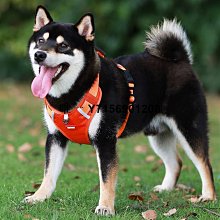 柯基專用狗狗斗篷反光雨衣寵物小型犬雨天防水雨披中型犬遛狗衣服 歷史價格詳細信息