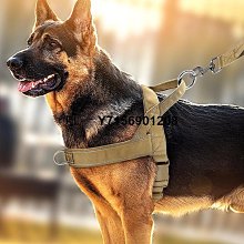 拉布拉多專用狗狗繩子防爆沖P鏈遛狗牽引繩防掙脫狗鏈子中大型犬 歷史價格詳細信息