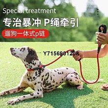 遛狗防爆沖刺釘脖圈馬犬東德中大型犬訓狗脖鏈調節大小脖套訓狗鏈 歷史價格詳細信息