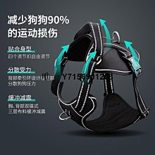 遛狗繩狗狗牽引繩背心式狗鏈子遛狗繩貓咪溜貓繩泰迪小型犬項圈狗狗用品 免運 歷史價格詳細信息