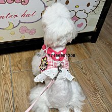 比熊狗狗牽引繩可愛遛狗鏈子小型犬寵物胸背帶泰迪博美小狗牽狗繩 歷史價格詳細信息