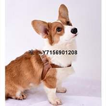 牽引繩 狗狗背心式牽引繩 外出小型犬牽引帶 可愛遛狗繩 遛喵繩 防掙脫寵物牽引帶  寵物胸背帶 寵物外出用品 歷史價格詳細信息