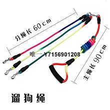 一拖二牽引繩 鋼絲牽引繩 狗狗雙頭牽引繩 多頭狗繩 小型中型狗鏈 防纏繞遛狗繩 歷史價格詳細信息