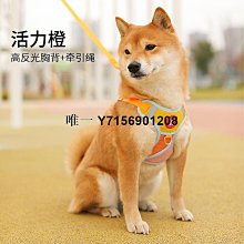 遛狗繩狗狗牽引繩中小型犬m泰迪柯基自動伸縮外出遛狗繩貓咪牽引寵物用 免運 歷史價格詳細信息