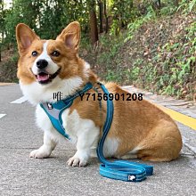 遛狗繩中小型犬牽引繩背心式牛仔狗牽引繩遛狗繩泰迪胸背帶專業貓牽引繩 免運 歷史價格詳細信息