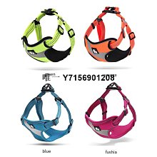 寵物Truelove狗狗牽引繩寵物泰迪遛狗繩子狗鏈子小型犬用品不含胸背帶牽引繩 歷史價格詳細信息