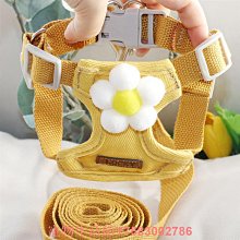 狗鏈子牽引繩胸背帶泰迪柯基中型小型犬自動伸縮遛狗繩貓咪牽引繩戶外遛狗3米5米牽引繩狗狗項圈狗脖套 歷史價格詳細信息