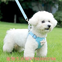 比熊狗狗牽引繩可愛遛狗鏈子小型犬寵物胸背帶泰迪博美小狗牽狗繩 歷史價格詳細信息