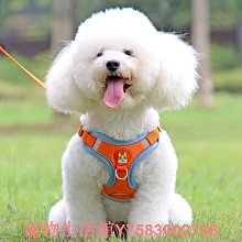 遛狗繩狗狗牽引繩背心式幼犬小型犬比熊泰迪博美寵物胸背帶遛狗繩小狗鏈 免運 歷史價格詳細信息