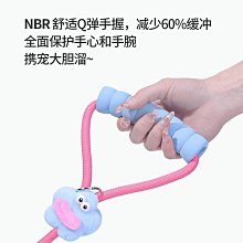 狗狗牽引繩p繩中型犬遛狗繩小型犬p鏈訓狗專用幼犬訓練繩賽級狗繩 歷史價格詳細信息