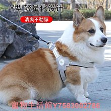寵物狗狗牽引繩中小型犬背心式胸背遛狗雪納瑞泰迪比熊幼犬防爆沖項圈牽引繩 歷史價格詳細信息