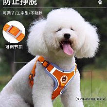 遛狗繩狗狗牽引繩背心式幼犬小型犬比熊泰迪博美寵物胸背帶遛狗繩小狗鏈 免運 歷史價格詳細信息