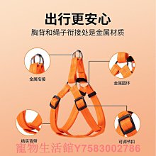 泰迪狗牽引繩狗貓繩子狗項圈遛狗鏈子貓繩中小型胸背帶貓狗日用品~爆款 優惠價 歷史價格詳細信息