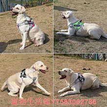 遛狗繩狗狗牽引繩狗鏈反光背心胸背帶狗鏈子狗繩子遛狗繩小型犬泰迪用品 免運 歷史價格詳細信息