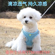 泰迪狗牽引繩狗貓繩子狗項圈遛狗鏈子貓繩中小型胸背帶貓狗日用品~爆款 優惠價 歷史價格詳細信息
