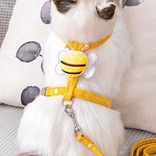 遛貓繩貓咪牽引繩防掙脫外出專用幼貓德文胸背帶遛狗鏈子遛貓神器 歷史價格詳細信息