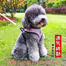 泰迪狗牽引繩狗貓繩子狗項圈遛狗鏈子貓繩中小型胸背帶貓狗日用品~爆款 優惠價 歷史價格詳細信息