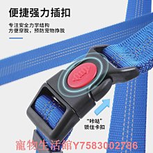 狗狗貓咪牽引繩狗繩狗鏈子繩子遛貓遛狗小型犬泰迪背心式胸背F 歷史價格詳細信息