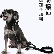遛狗繩狗狗牽引繩狗鏈反光背心胸背帶狗鏈子狗繩子遛狗繩小型犬泰迪用品 免運 歷史價格詳細信息