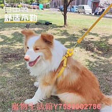 遛狗繩狗狗牽引繩背心式幼犬小型犬比熊泰迪博美寵物胸背帶遛狗繩小狗鏈 免運 歷史價格詳細信息