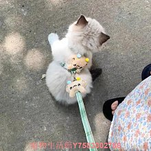 貓咪牽引繩外出用防掙脫工字遛貓繩子小貓胸背帶可調節寵物狗鏈子 歷史價格詳細信息