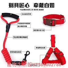 寵物狗狗牽引繩大型犬中型犬小型犬泰迪博美金毛哈士奇遛狗鏈繩子 價格比較,價格查詢,歷史價格詳細信息