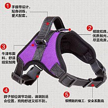 狗狗牽引繩中型大型犬背心式狗繩子大狗金毛邊牧外出遛狗繩胸背帶 歷史價格詳細信息