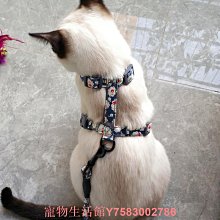 寵物用品貓咪胸背小蜜蜂牽引繩透氣小型犬狗狗繩子遛貓狗繩卡通 歷史價格詳細信息
