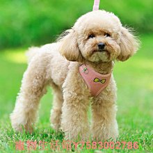 寵物狗狗牽引繩背心式小型犬胸背帶透氣比熊泰迪博美小狗遛狗繩狗鏈子牽引繩 歷史價格詳細信息