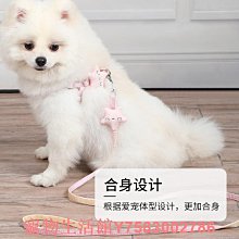 狗繩子泰迪比熊博美小型犬狗鏈子中型犬反光繩金毛邊牧狗狗牽引繩 歷史價格詳細信息