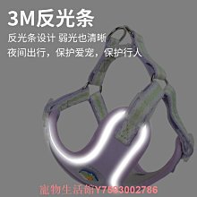 寵物鏈子狗狗牽引繩栓狗鐵鏈遛狗繩狗鏈子中型犬小型犬項圈用品 歷史價格詳細信息