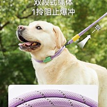 狗狗牽引繩遛狗繩中大型雙狗鏈子一分二雙頭牽引一拖二牽引帶多只 歷史價格詳細信息