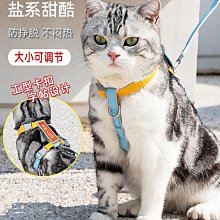 遛貓繩貓咪牽引繩防掙脫外出專用幼貓德文胸背帶遛狗鏈子遛貓神器 歷史價格詳細信息