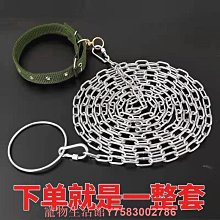 狗鏈子牽引繩防咬鐵鏈大型犬狗狗項圈遛狗繩小型柯基金毛德牧土狗 歷史價格詳細信息