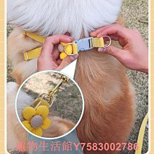 新款狗狗牽引繩狗狗外出牽引繩小狗胸背帶比熊博美小型犬狗繩子 歷史價格詳細信息