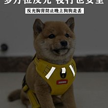 狗狗牽引繩寵物比熊泰迪小型犬胸背帶貓咪繩子防掙脫遛狗繩子狗鏈 歷史價格詳細信息
