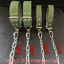 狗鏈子牽引繩防咬鐵鏈大型犬狗狗項圈遛狗繩小型柯基金毛德牧土狗 歷史價格詳細信息