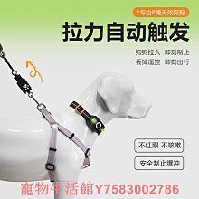遛狗繩狗狗牽引繩P繩項圈一拖二防纏繞多條狗遛狗脖套小中大型犬P鏈頸圈 免運 歷史價格詳細信息